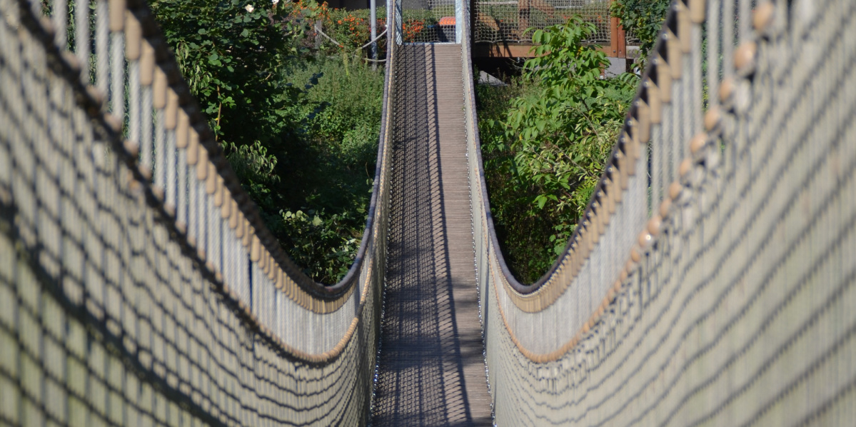 Hängebrücke im Zoo Hängebrücke im Zoo