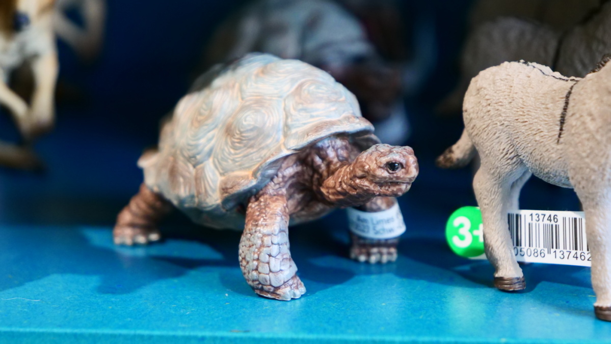 Eine Schildkröte der Firma Schleich Eine Schildkröte der Firma Schleich in Großaufnahme