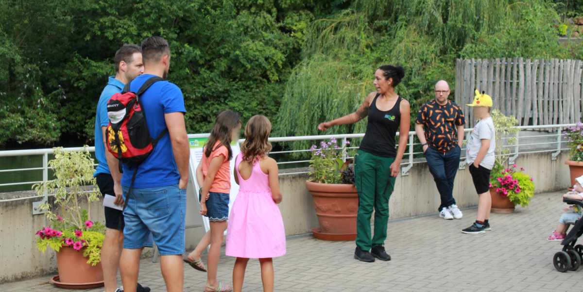 Tierpfatenfest am 22.07.22 Am Zooeingang erhalten Zoobesucher Informationen zu den Flamingos