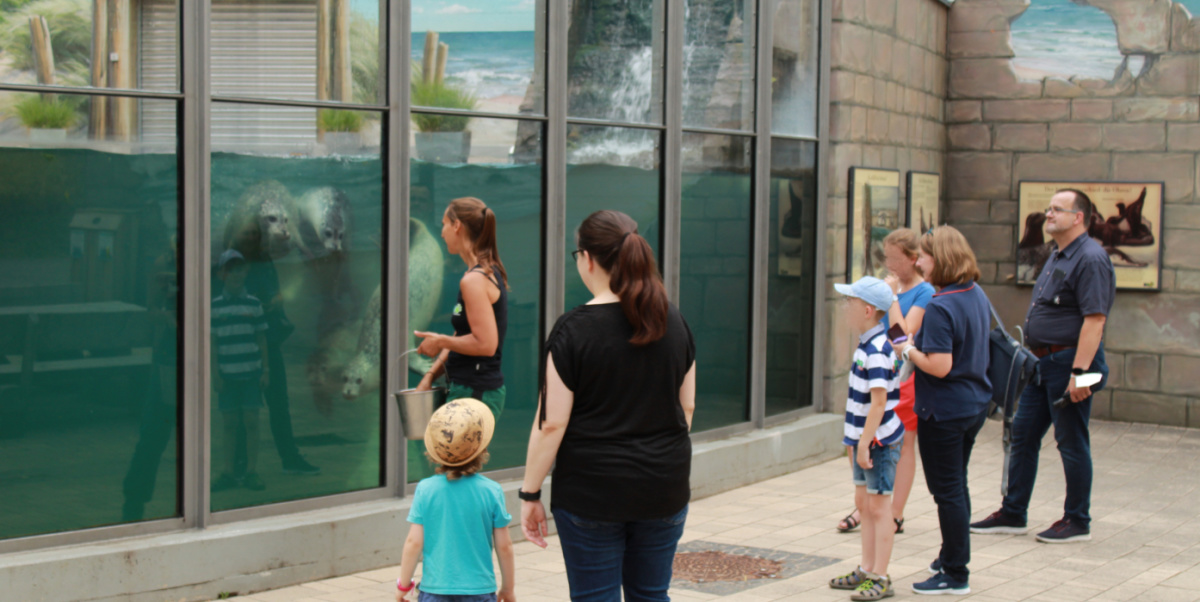 Tierpfatenfest am 22.07.22 Zoobesucher schauen sich eine Seehundfütterung an