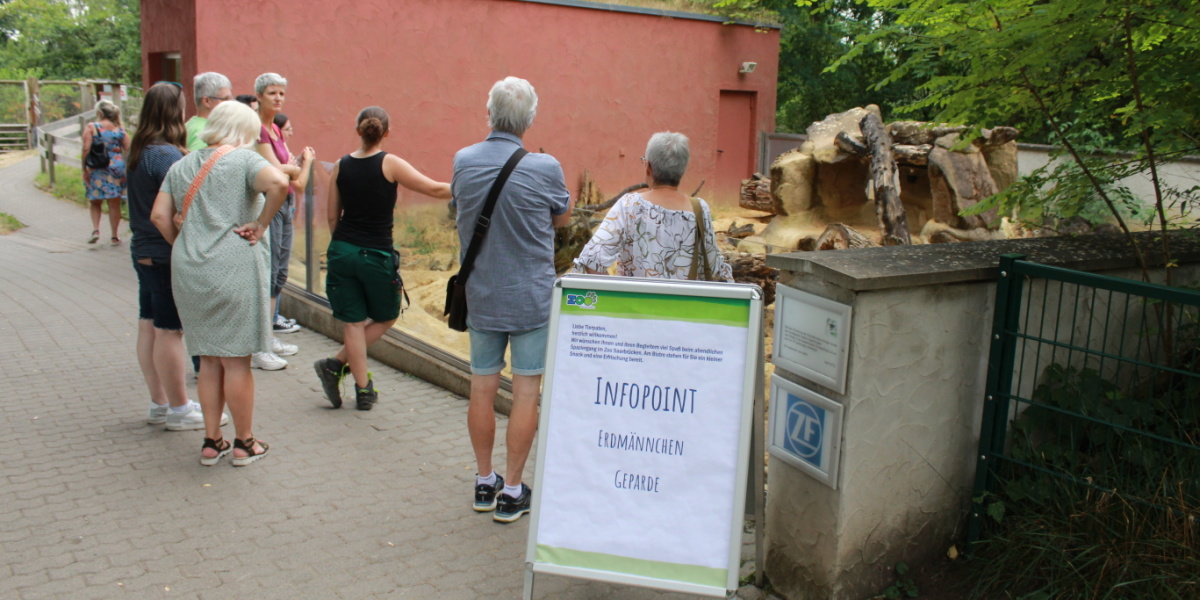 Tierpfatenfest am 22.07.22 Am Erdmännchengehege erhalten Zoobesucher Informationen zu den Erdmännchen
