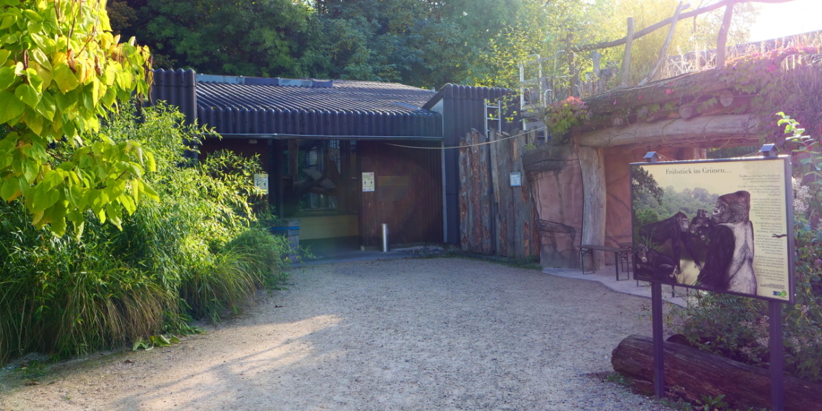 Menschenaffenhaus Blick auf das Menschenaffenhaus